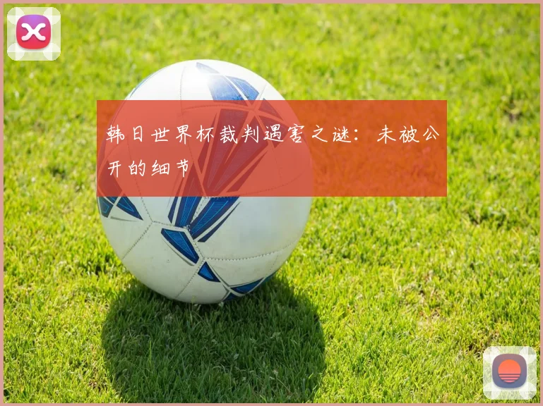 韩日世界杯裁判遇害之谜：未被公开的细节