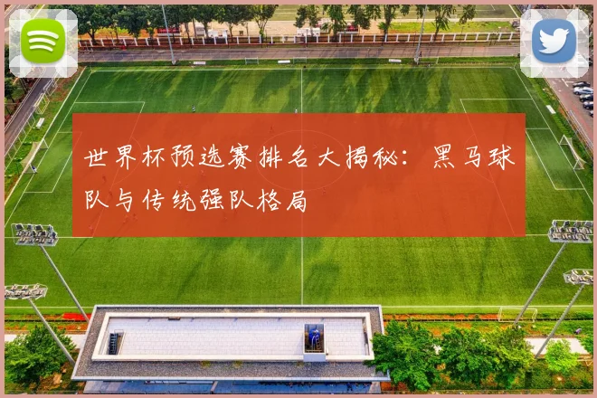 世界杯预选赛排名大揭秘：黑马球队与传统强队格局