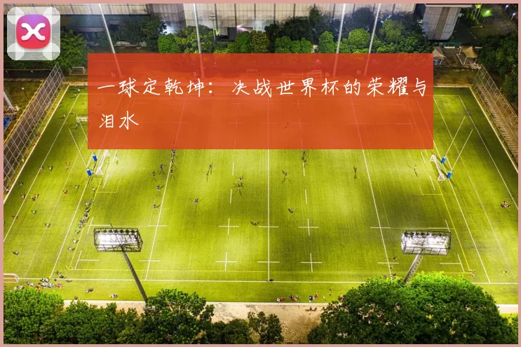 一球定乾坤：决战世界杯的荣耀与泪水
