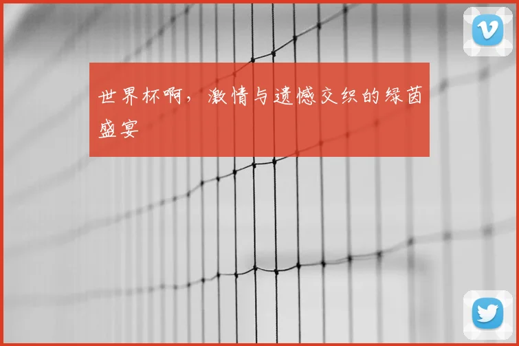 世界杯啊,激情与遗憾交织的绿茵盛宴