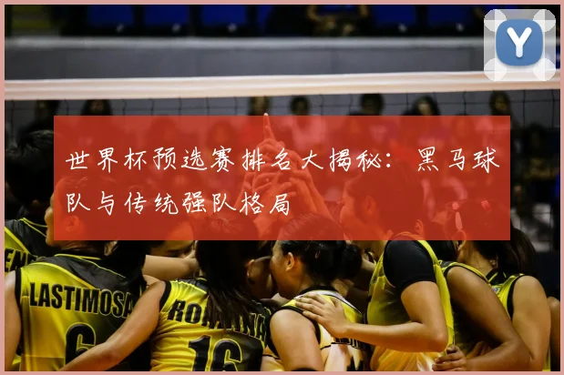 世界杯预选赛排名大揭秘：黑马球队与传统强队格局