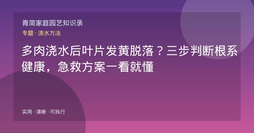 多肉浇水后叶片发黄脱落？三步判断根系健康，急救方案一看就懂