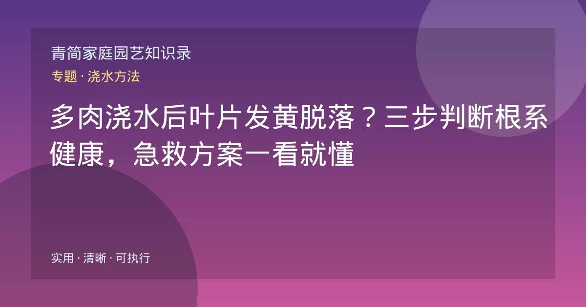 多肉浇水后叶片发黄脱落?三步判断根系健康,急救方案一看就懂